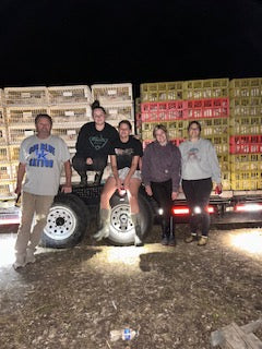 Loading Chicken Ready for Processing – Eggleston Farm Fresh Foods