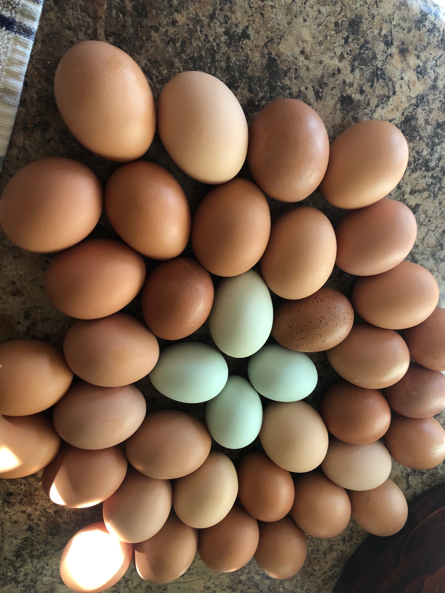 Chicken Eggs, Pasture Raised 1 dozen