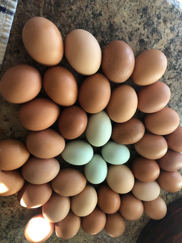 Chicken Eggs, Pasture Raised 1 dozen