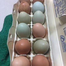 Load image into Gallery viewer, Chicken Eggs, Pasture Raised 1 Dozen
