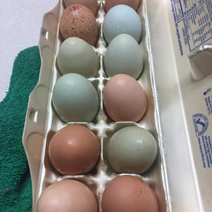 Chicken Eggs, Pasture Raised 1 Dozen