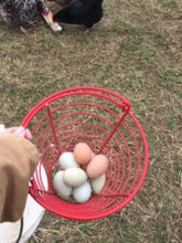 Load image into Gallery viewer, Chicken Eggs, Pasture Raised 1 Dozen