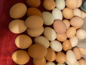Breakfast Bundle: 1 dozen eggs, Cured Bacon 1# pkt and 1lb breakfast sausage