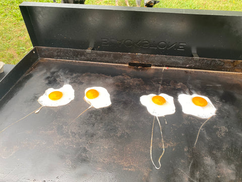 Duck Eggs 1/2 dozen